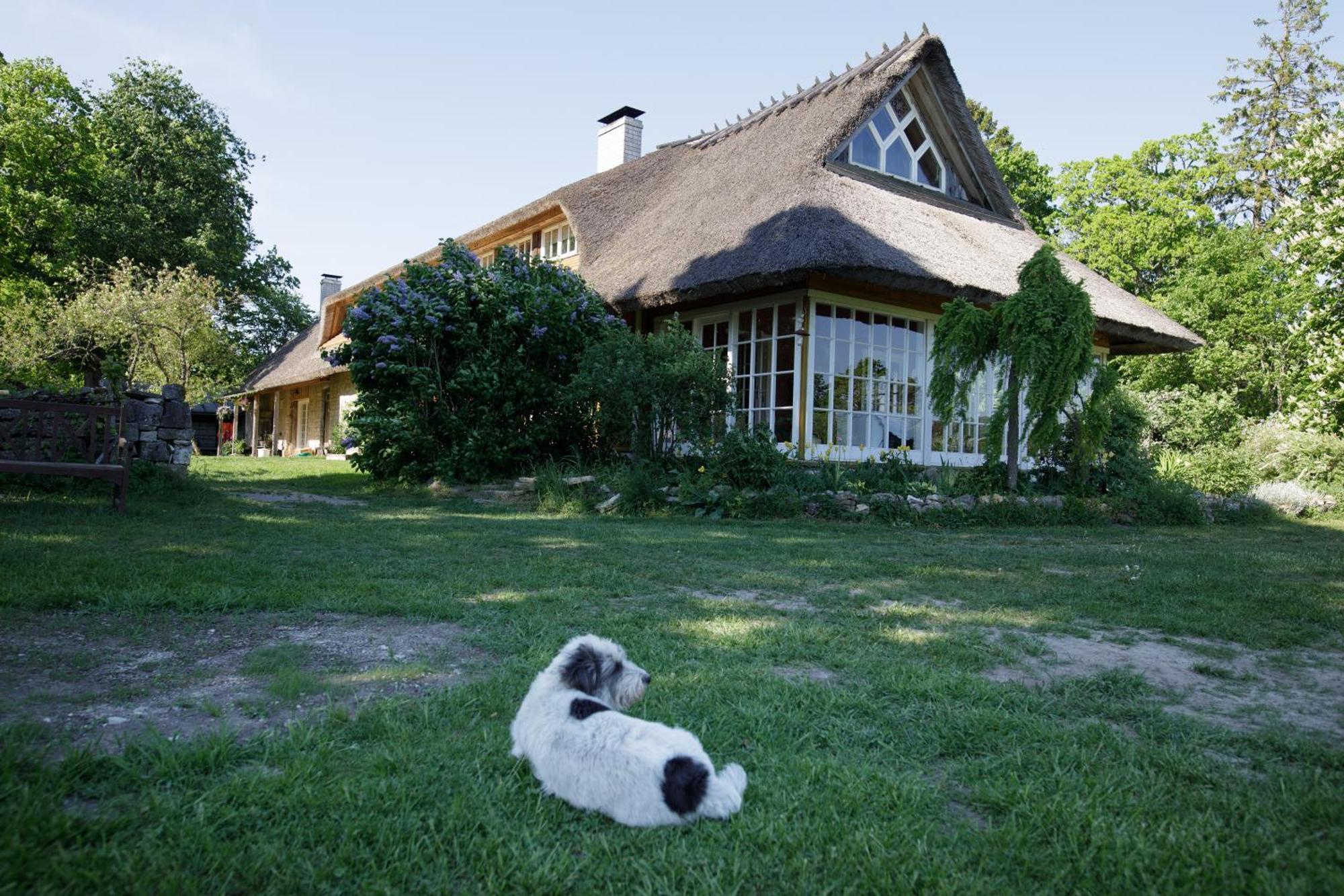 Muhu Tonise Talu Hotel Liiva  Екстериор снимка